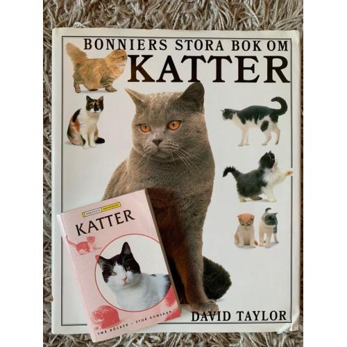 Stora boken om Katter   mindre kattbok